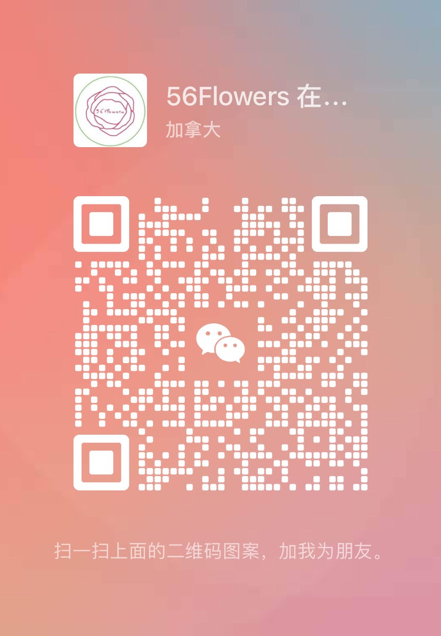 02-WX barcode